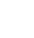 Shopee Icon